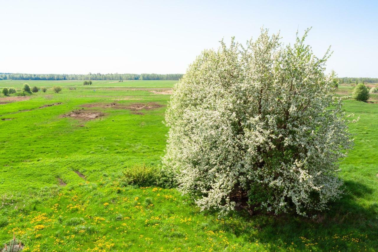 White Camomile Condo 斯文托伊 外观 照片